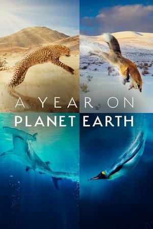 A Year on Planet Earth Online