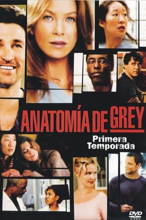 Anatomía de Grey temporada  1 online