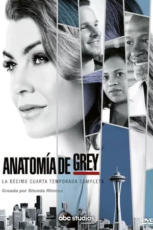 Anatomía de Grey T 14 C 9 online gratis