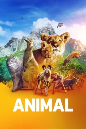 Animal online gratis