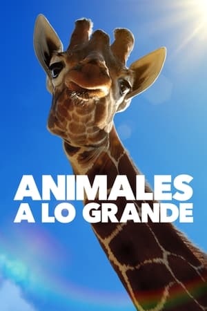 Animales a lo grande online gratis