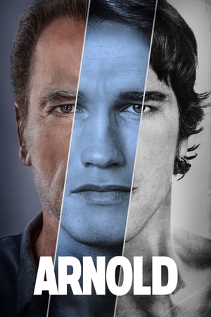 Arnold temporada  1 online