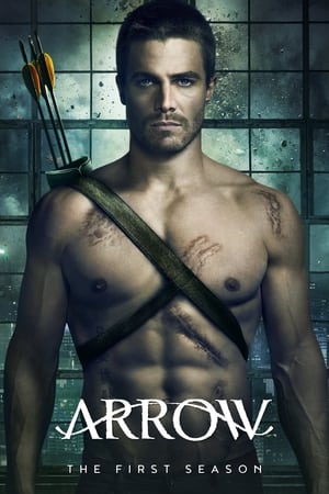 Arrow temporada  1 online