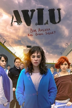 Avlu: El patio Online