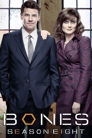 Bones temporada  8 online