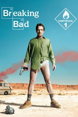 Breaking Bad temporada  1 online