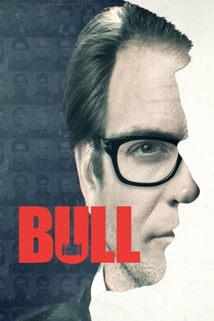 Bull temporada  1 online