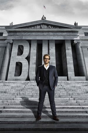 Bull temporada  2 online