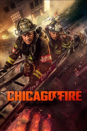 Chicago Fire T 13 C 6 online gratis