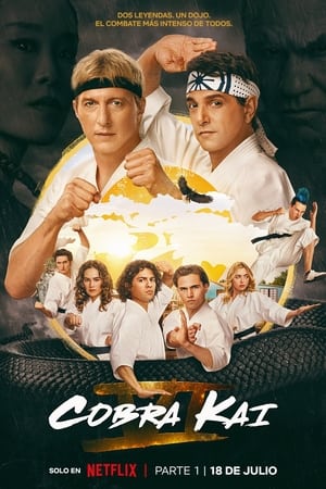 Cobra Kai temporada  6 online