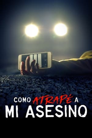 Cómo atrapé a mi asesino Online gratis