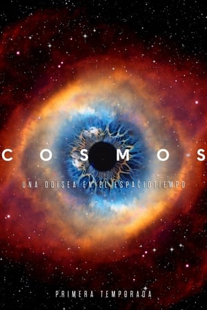 Cosmos: Una odisea en el espacio-tiempo temporada  1 online