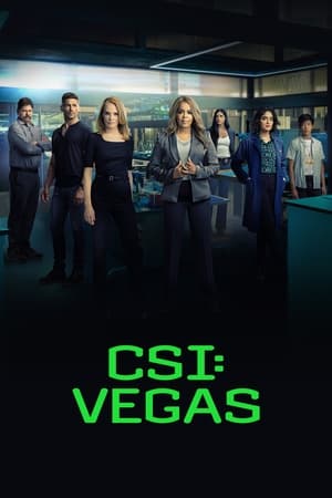 CSI: Vegas temporada  2 online