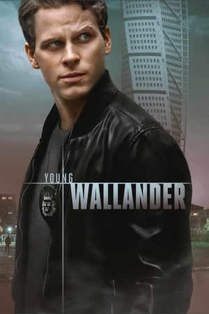 El joven Wallander temporada  1 online