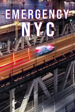 Emergencias: Nueva York temporada  1 online