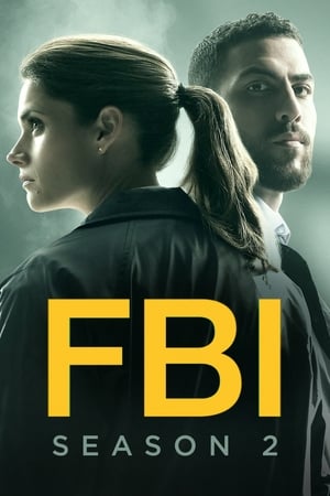 FBI temporada  2 online