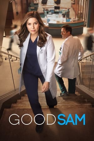 Good Sam temporada  1 online