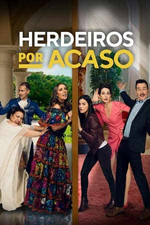 Herederos por accidente temporada  1 online