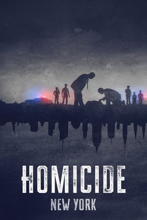 Homicidio temporada  1 online