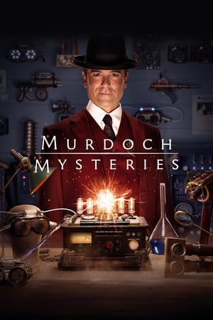 Los misterios de Murdoch temporada  18 online