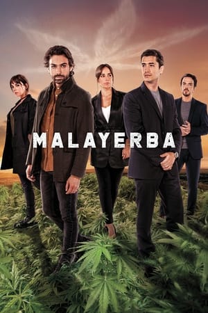 MalaYerba Online