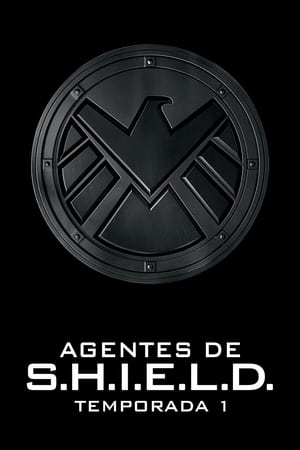 Marvel Agentes de S.H.I.E.L.D. temporada  1 online