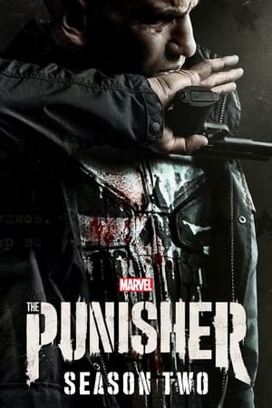 Marvel - The Punisher temporada  2 online