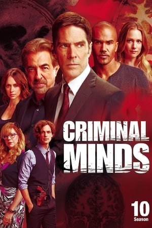 Mentes criminales temporada  10 online