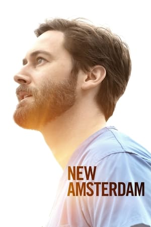 New Amsterdam T 3 C 12 online gratis