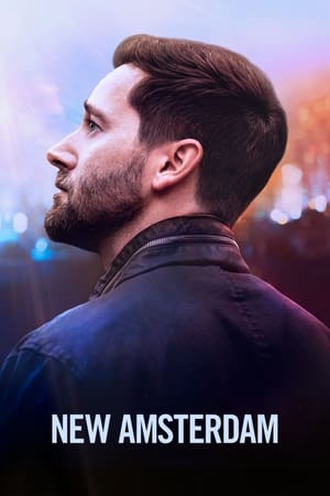 New Amsterdam temporada  5 online