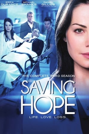 Saving Hope T 3 C 1 online gratis