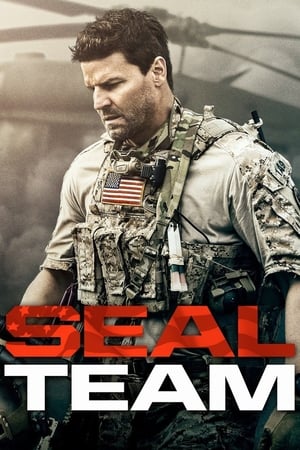 SEAL Team temporada  1 online