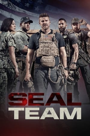 SEAL Team Online gratis