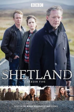 Shetland temporada  5 online