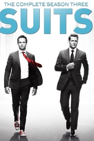 Suits: la clave del éxito temporada  3 online