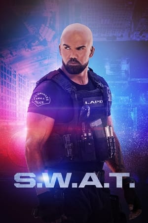 S.W.A.T.: Los hombres de Harrelson temporada  8 online