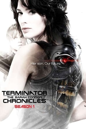 Terminator: Las crónicas de Sarah Connor temporada  1 online