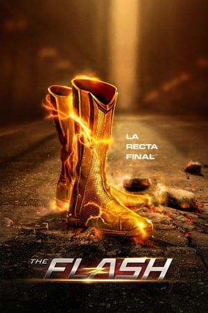 The Flash temporada  9 online