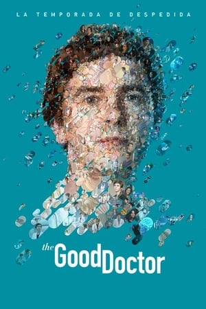 The Good Doctor Online gratis