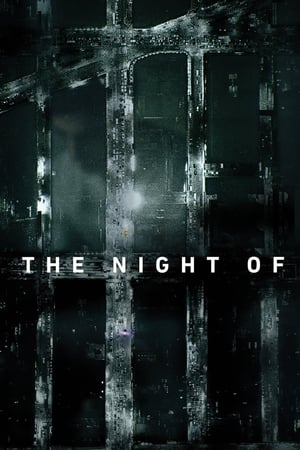 The Night Of online gratis