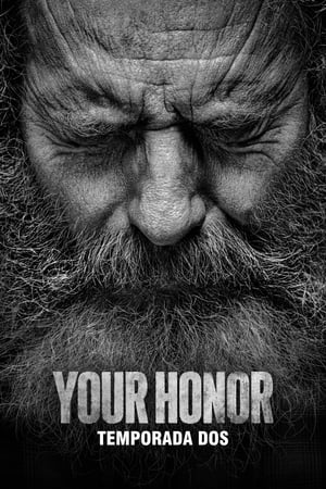 Your Honor temporada  2 online