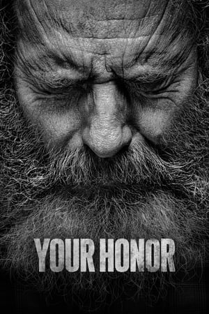 Your Honor Online